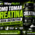 Whey com BCAA vale a pena? Guia de Custo-Benefício